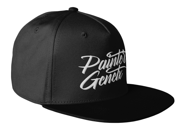 Painter Baseball Cap (Black)